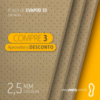 03 PLACAS • EVAPOD33 PALHA PERFURADA 2,5MM 810 X 410MM