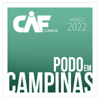 CURSO PODOPOSTUROLOGIA • CAMPINAS SP