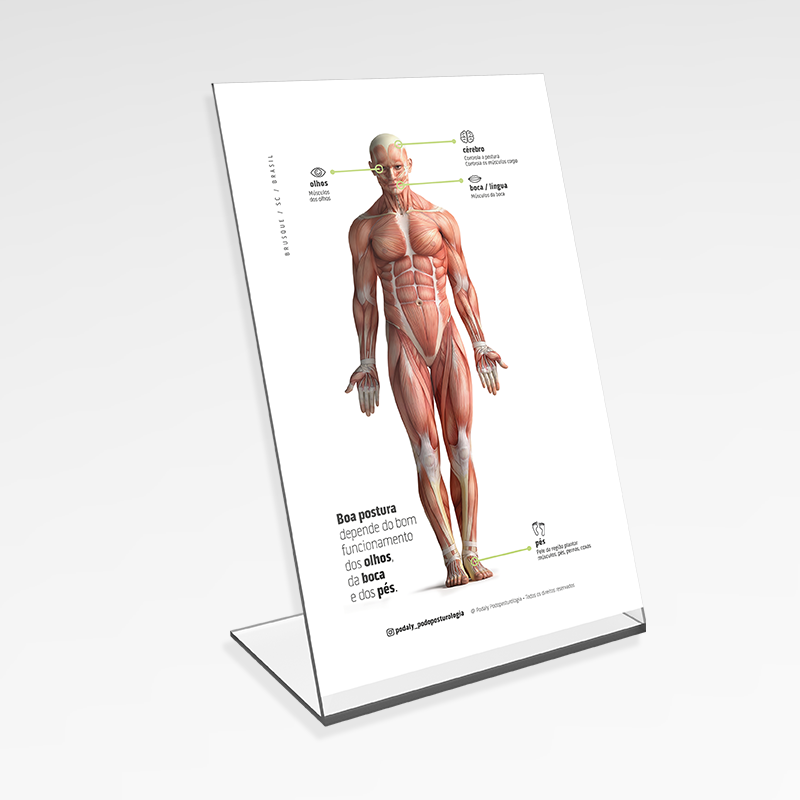 DISPLAY ACRILICO BOA POSTURA